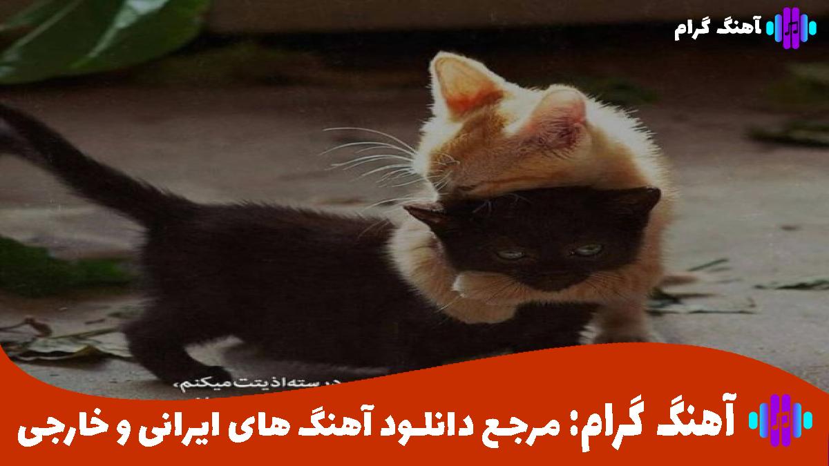 کاور آهنگ ای باغ گلم نوبر بهارم از نادر قدیمی